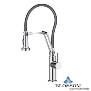 Blossom F01 208 01 Single Handle Pull Down Kitchen Faucet in Chrome