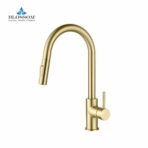 Blossom F01 206 16 1/2 Inch Single Handle Pull Down Kitchen Faucet