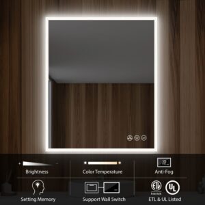 Blossom LED M2 3036 Beta 30 Inch LED Mirror with Frosted Sides