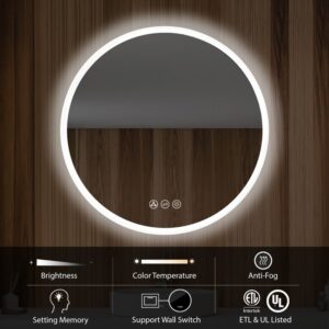 Blossom LED M3 R24 Orion 23 5/8 Inch Round LED Mirror with Frosted Side