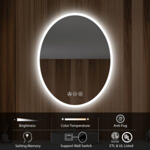 Blossom LED M6 2030 20 Inch Oval LED Mirror