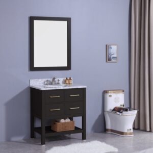 Legion Furniture WT7130-E 31 Inch Vanity Set with Mirror in Espresso, No Faucet