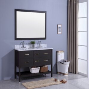 Legion Furniture WT7160-E 61 Inch Vanity Set with Mirror in Espresso, No Faucet