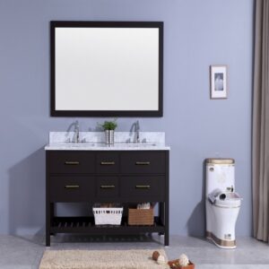 Legion Furniture WT7160-E 61 Inch Vanity Set with Mirror in Espresso, No Faucet