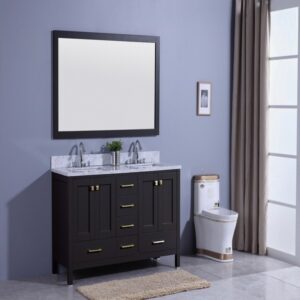 Legion Furniture WT7260-E 61 Inch Vanity Set with Mirror in Espresso, No Faucet