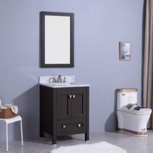 Legion Furniture WT7324-E 25 Inch Vanity Set with Mirror in Espresso, No Faucet