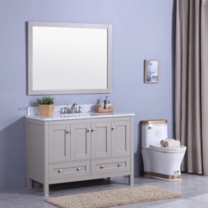 Legion Furniture WT7348-G 49 Inch Vanity Set with Mirror in Warm Gray, No Faucet