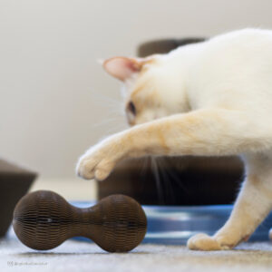 Turbo  Corrugated Cat Toys