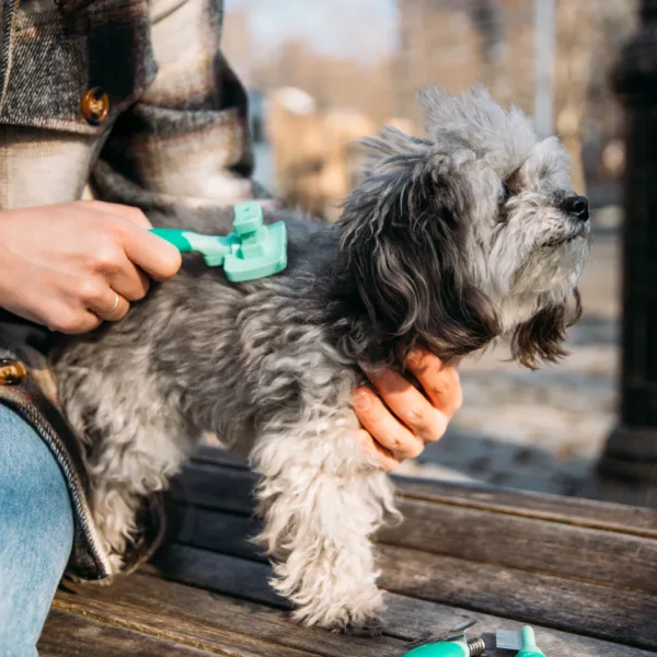 Lil Pals  Self-Cleaning Dog Slicker Brush