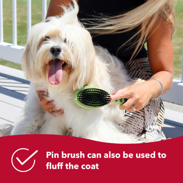 Safari  by Coastal  Pin and Bristle Combo Dog Brush