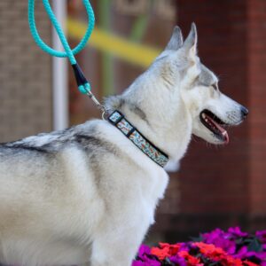 Coastal  Rope Dog Leash