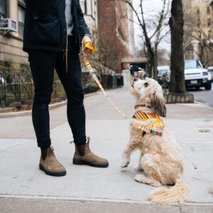 Sublime  Reversible Dog Harness