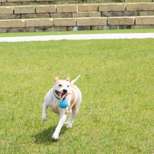 ProFit Foam Toy Rope Ball