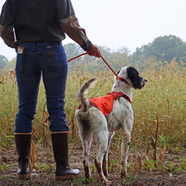 Water & Woods Reflective Dog Safety Vest