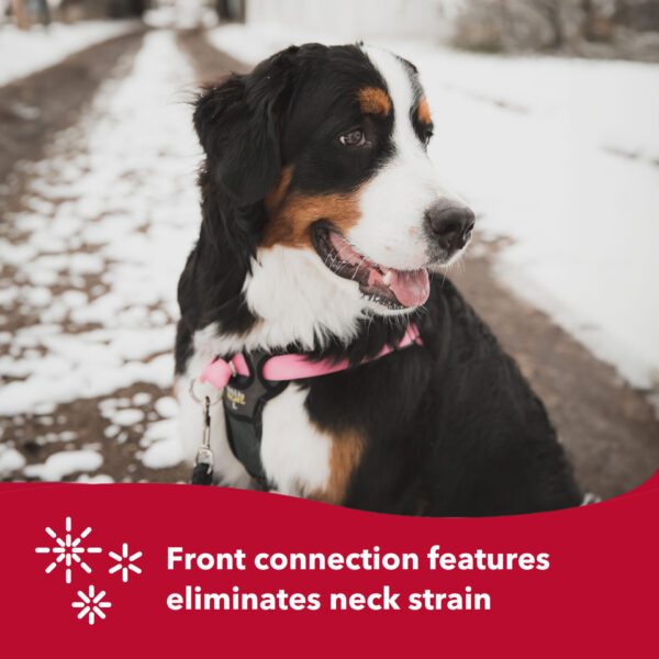 Walk Right!  Front-Connect No-Pull Padded Dog Harness