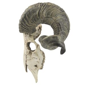 Design Toscano CL3377 18 1/2 Inch Corsican Ram Skull and Horns Plaque