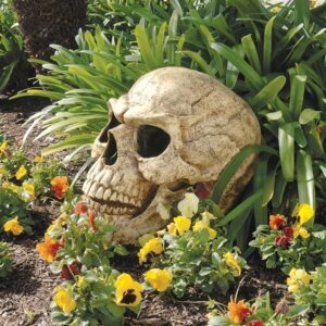 Design Toscano CL5054 13 Inch Sinister Simon Skull