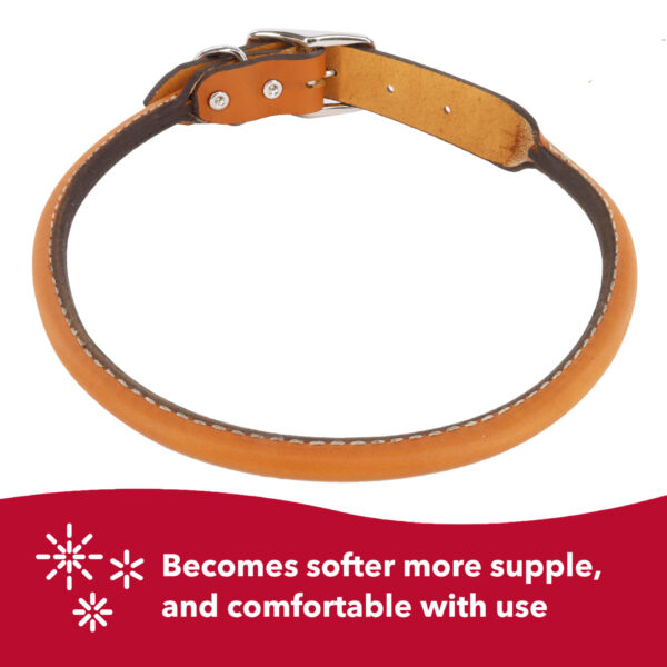 Circle T  Oak Tanned Leather Round Dog Collar