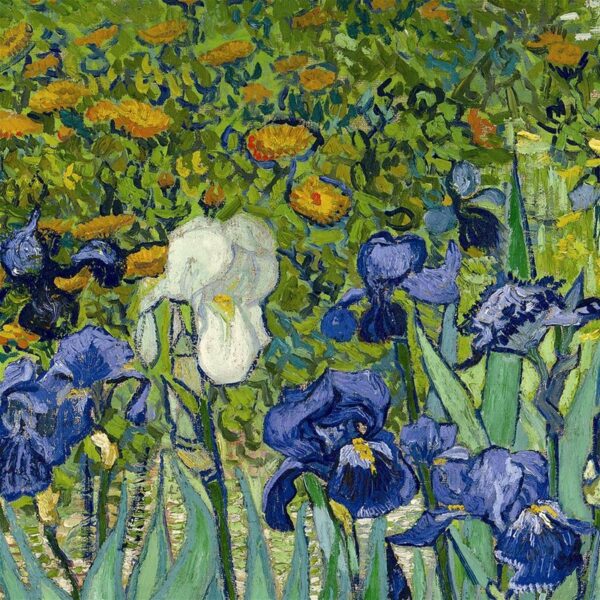 Design Toscano DA4733 38 1/4 Inch Irises 1889 Canvas Replica Painting - Large