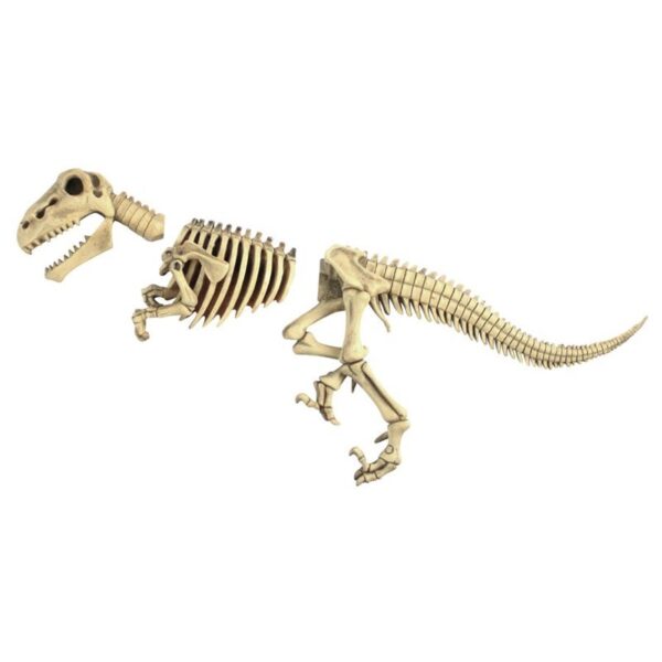 Design Toscano DB383021 27 Inch Raptor Skeleton Statue