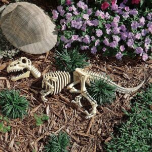 Design Toscano DB383021 27 Inch Raptor Skeleton Statue