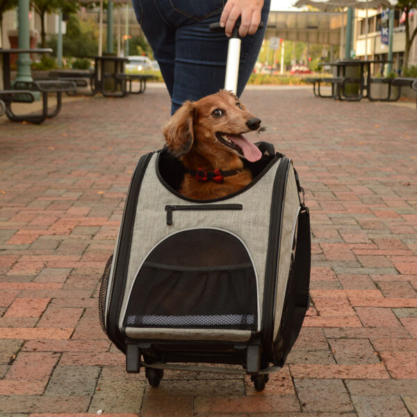 Bergan  Rolling Pet Carrier