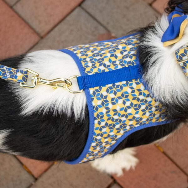 Accent Metallic Adjustable Dog Harness