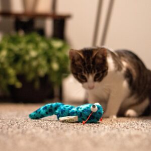 Turbo  Vibrating Cat Toys