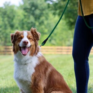 Coastal  Rope Dog Leash