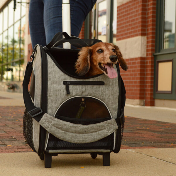 Bergan  Rolling Pet Carrier