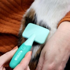 Lil Pals  Kitten Massage Brush