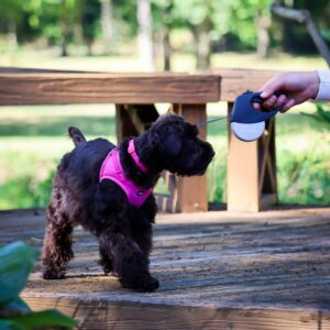 Lil Pals  Microfiber Harness