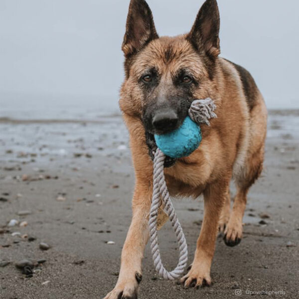 ProFit Foam Toy Rope Ball