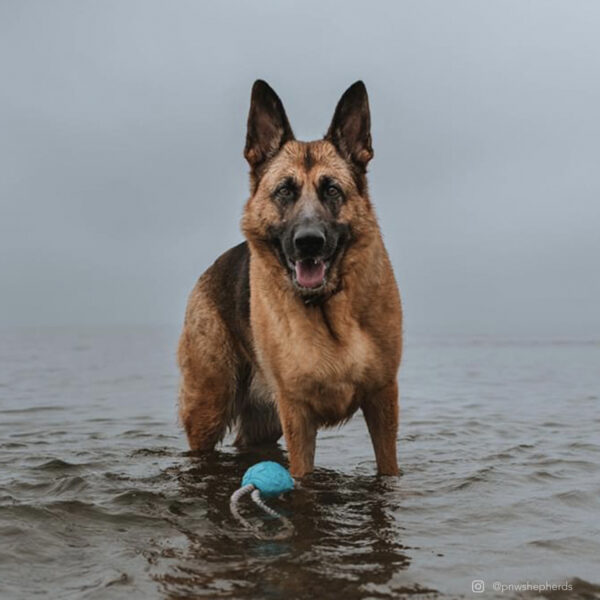 ProFit Foam Toy Rope Ball