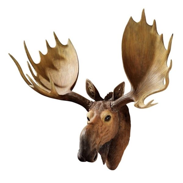 Design Toscano HF317292 27 Inch Alaskan Moose Trophy