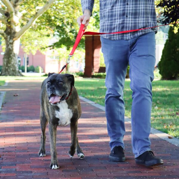 Natural Control Training Collar