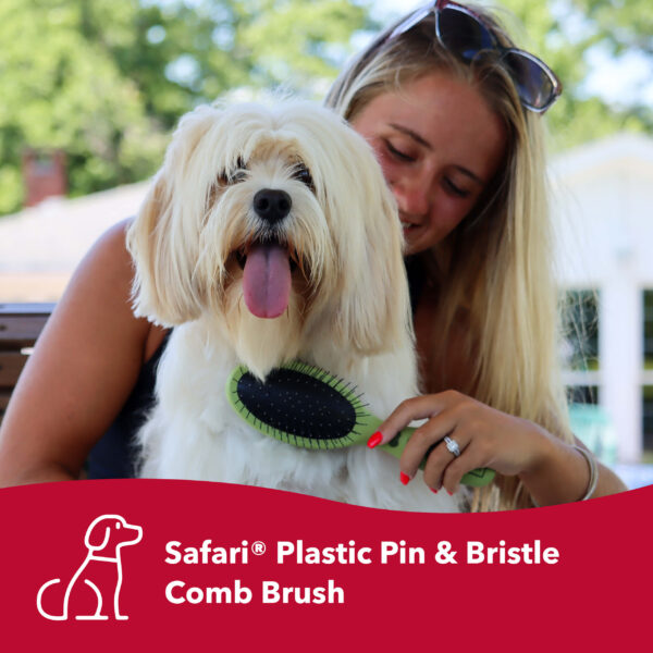 Safari  by Coastal  Pin and Bristle Combo Dog Brush