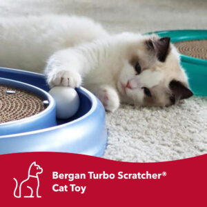 Turbo Scratcher  Cat Toy