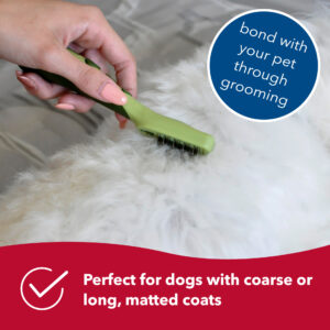 Safari  by Coastal  Dog Mat Remover