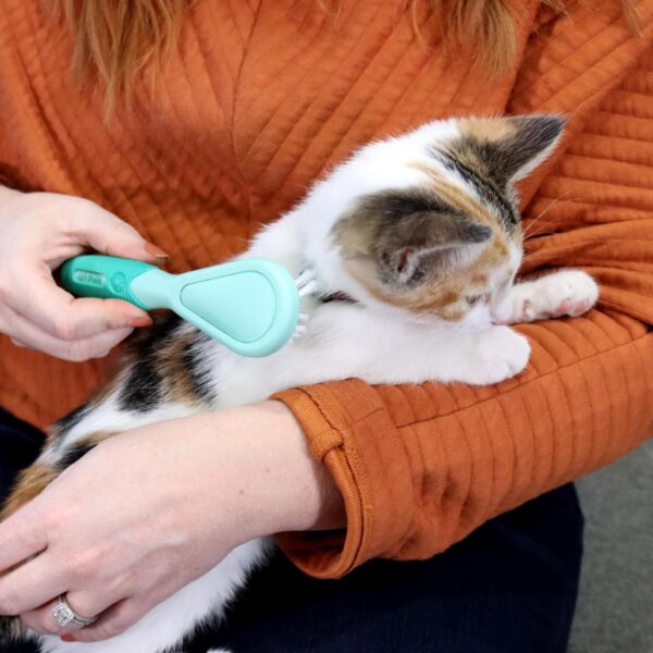 Lil Pals  Kitten Bristle Brush