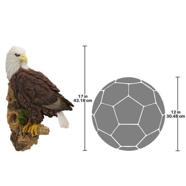 Design Toscano JQ5900 10 1/2 Inch American Bald Eagle Wall Sculpture