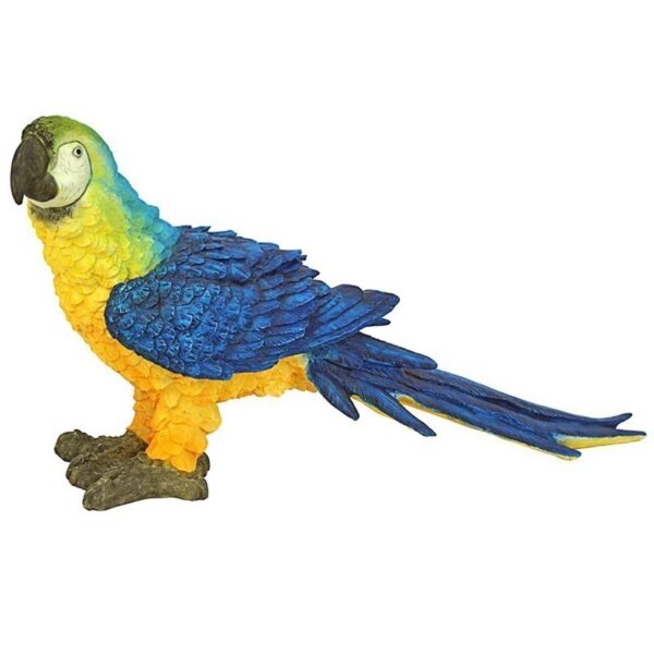 Design Toscano JQ5998 17 1/2 Inch Parrot - Blue