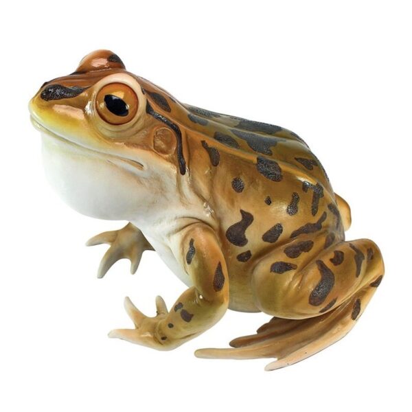 Design Toscano JQ6119 10 1/2 Inch Lester the Leopard Frog Statue