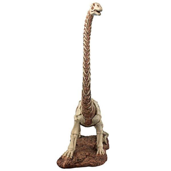 Design Toscano JQ86482 Prehistoric 17 Inch Brachiosaurus Skeleton Dinosaur Statue