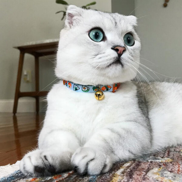 Safe Cat  Fashion Adjustable Breakaway Collar