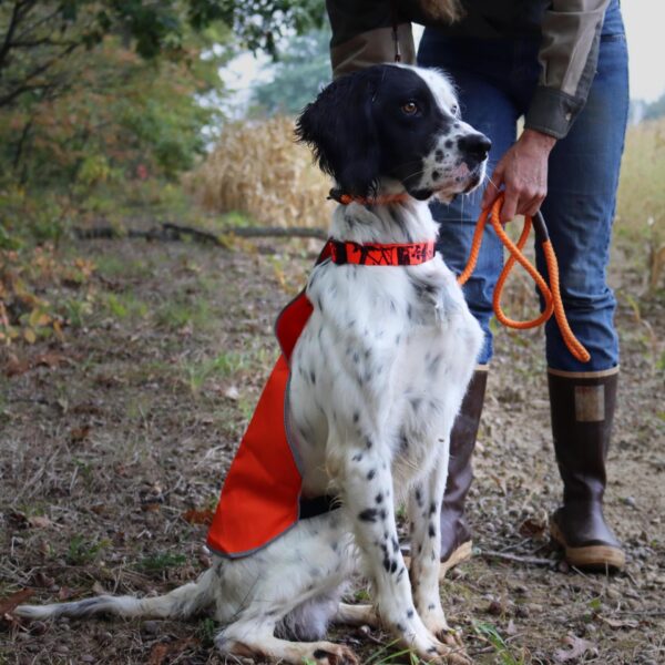 Water & Woods Braided Rope Dog Slip Leash