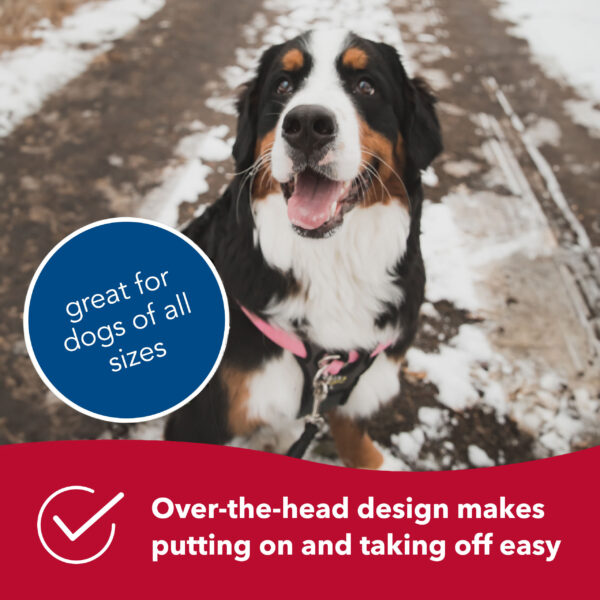 Walk Right!  Front-Connect No-Pull Padded Dog Harness