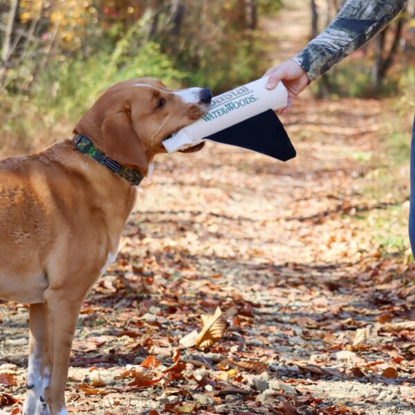 Water & Woods Adjustable Dog Collar