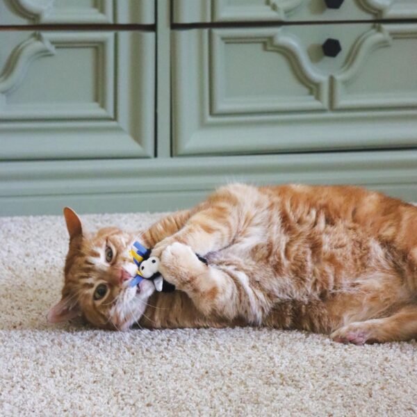 Turbo  by Coastal  Whimsy Cat Toy