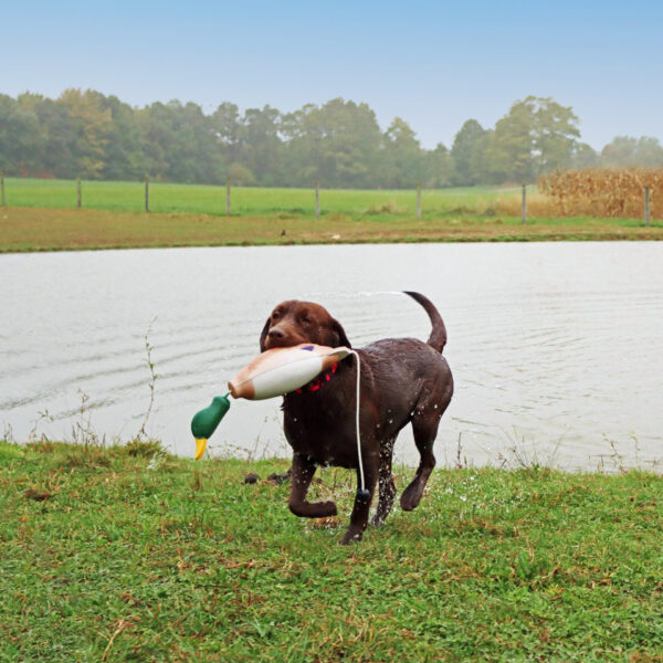 Water & Woods Tethered-Head Foam Fowl Dog Trainer